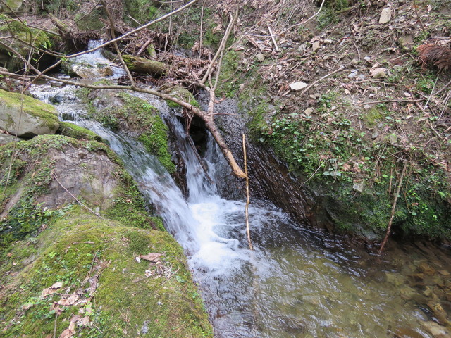 IMG_1303.JPG