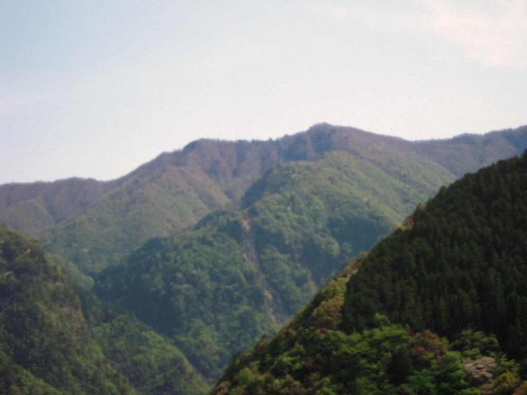 ちょこっと山歩き・アケボノツツジの池木屋山: 山大好きの山ちゃん